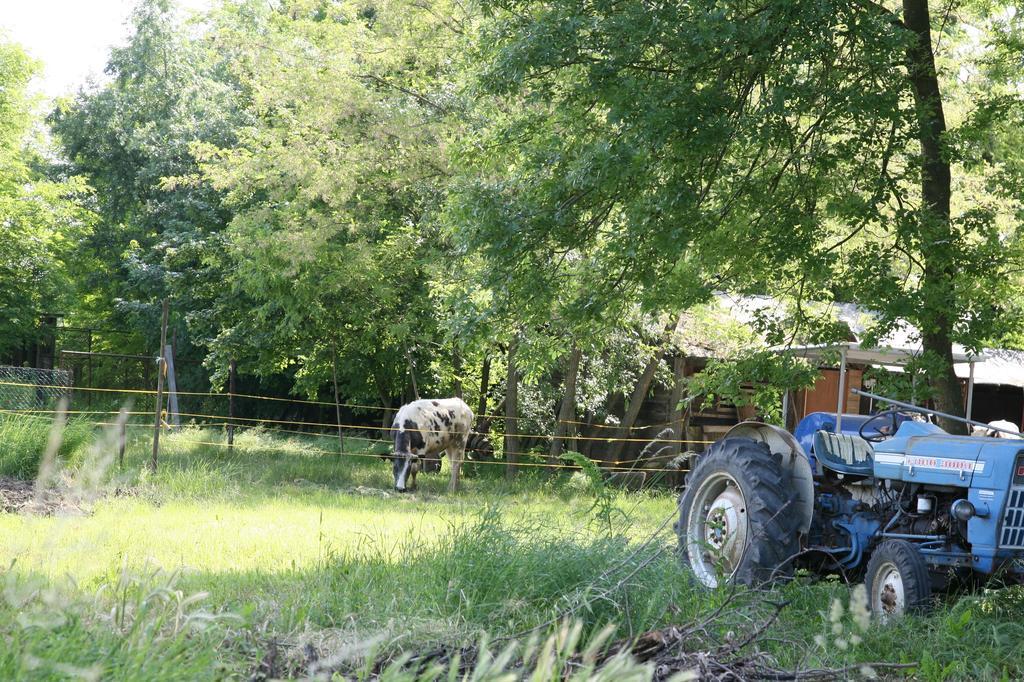 Agriturismo Maliso Ceggia Extérieur photo